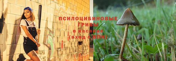 mdpv Армянск