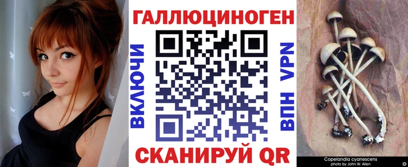 Галлюциногенные грибы Psilocybe  Кирово-Чепецк 